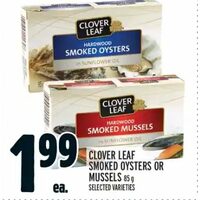 Clover Leaf Smoked Oysters Or Mussels