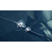 $20 for $120 Toward a Full Windshield Replacement
