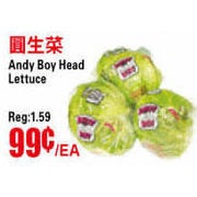Andy Boy Head Lettuce - $0.99