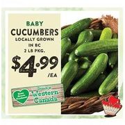 Baby Cucumbers - $4.99