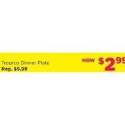 Tropic Party Collection Tropico Dinner Plate - $2.99