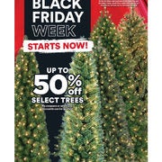 Trees - Up to 50% off