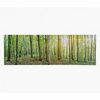 Forest Canvas Print  - $19.99 (50% off)