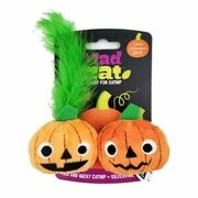 Halloween Cat Toys & Scratchers - From $9.99