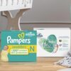 Pampers: Get a FREE Sample of Pampers Wipes and Swaddlers for Newborns
