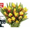 Fresh Cut Tulips  - $12.99