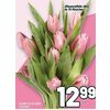10 Tulip Bouquet  - $12.99