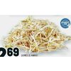 Bean Sprouts - $2.69/lb